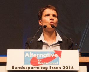 a.o. Bundesparteitag der Alternative für Deutschland am 4./5. Juli 2015 in Essen, Gruga Halle